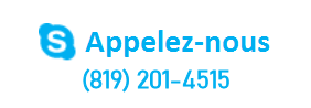 Skype Call